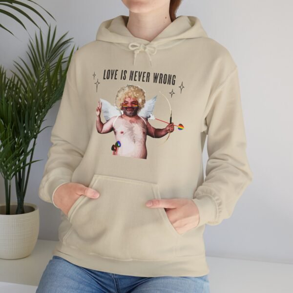 Philadelphia Flag Hoodie Valentine's Day Unisex Size - Love Is Never Wrong - Image 14