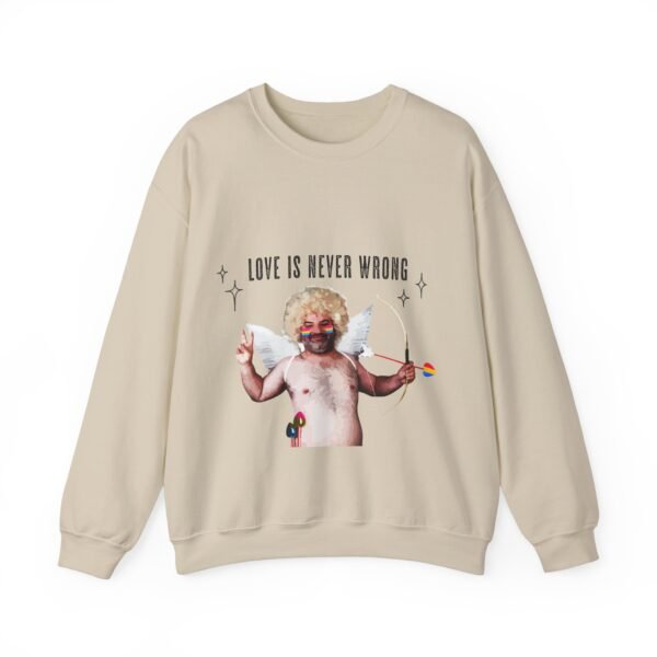 Pansexual Flag Heavy Blend Crewneck Sweatshirt Valentines Day Unisex Size - Love Is Never Wrong - Image 5