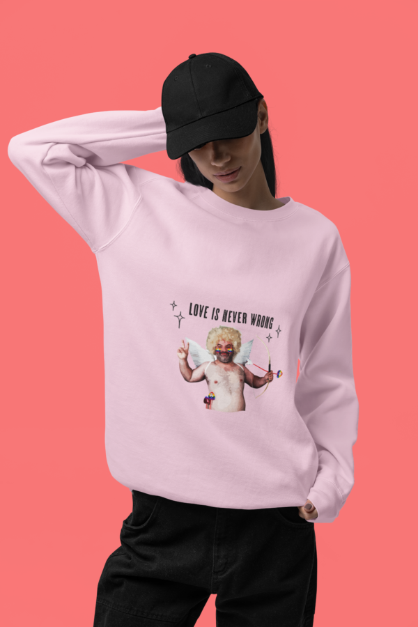 Two Spirit Flag Heavy Blend Crewneck Sweatshirt Valentines Day Unisex Size - Love Is Never Wrong
